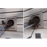 Removing a bird's nest.